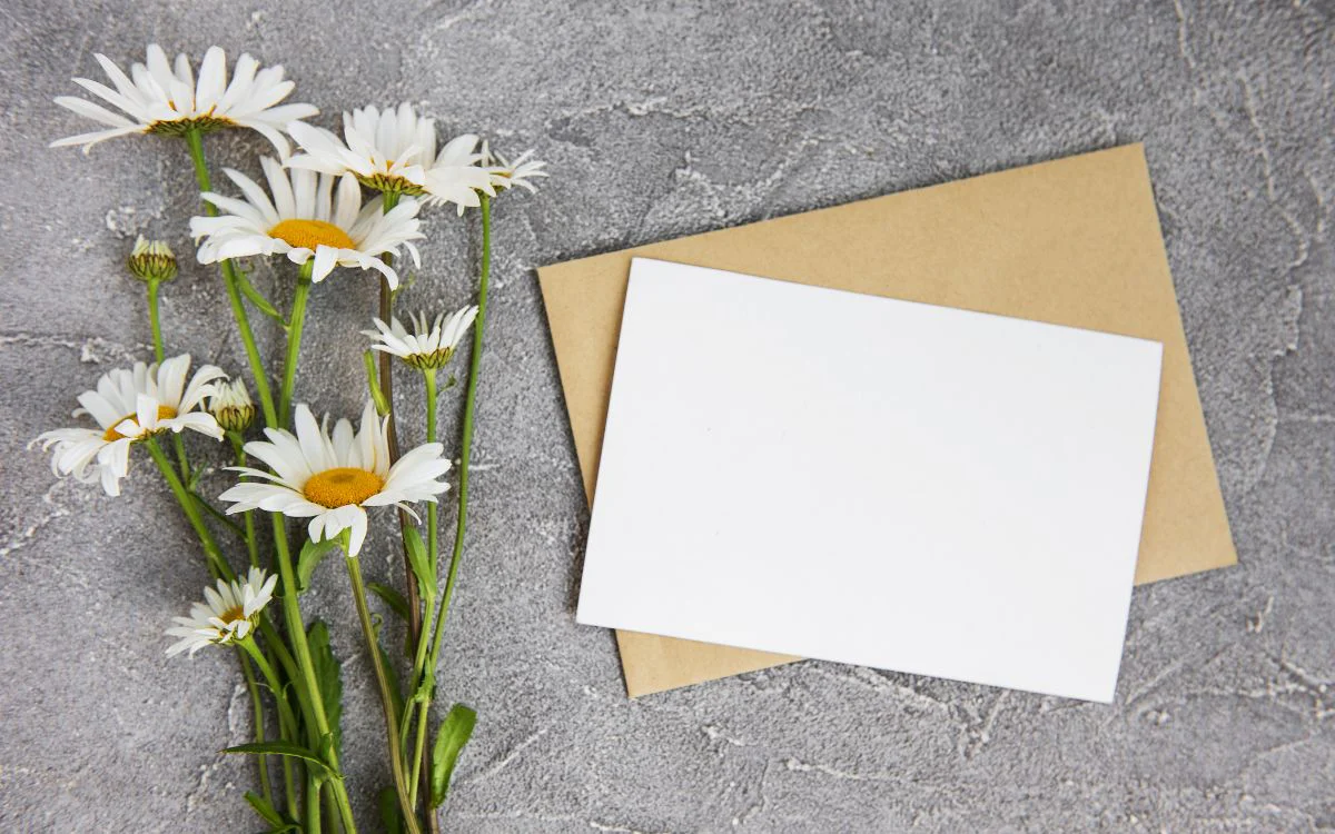 tarjetas de felicitación