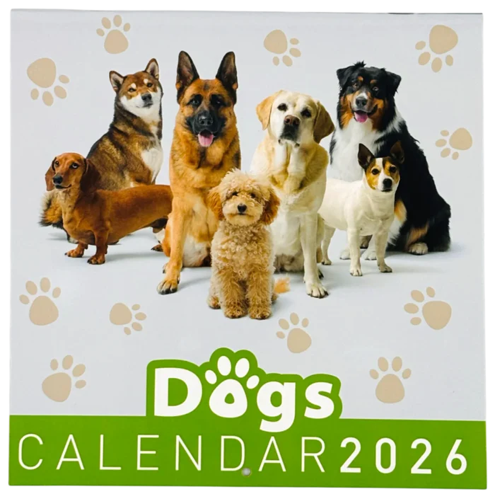 Calendarios 2026 maxi - Perros
