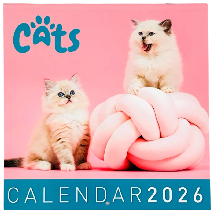 Calendarios 2026 maxi - Gatos