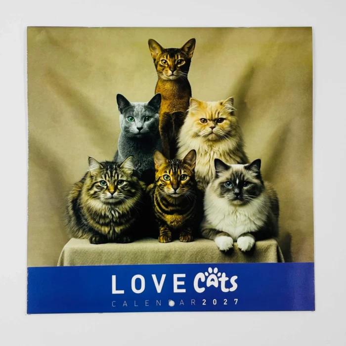 Calendarios 2026 maxi - Gatos