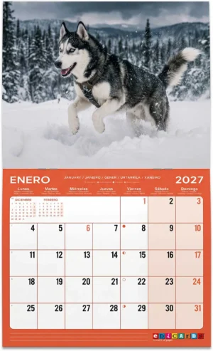 01320---CALENDARIO-PEQUE-20271