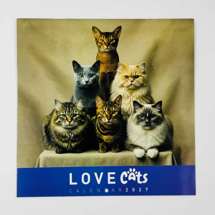 Calendarios 2026 maxi - Gatos