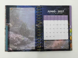 0211---AGENDA-SEMANA-VISTA-2027-11