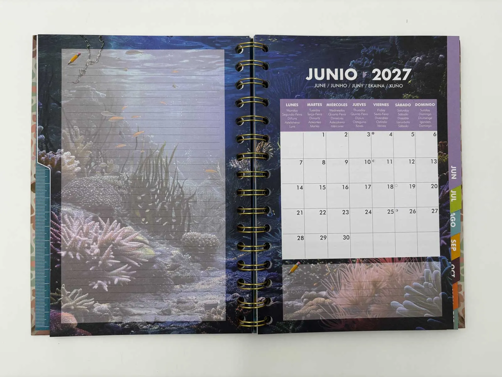 0211---AGENDA-SEMANA-VISTA-2027-11